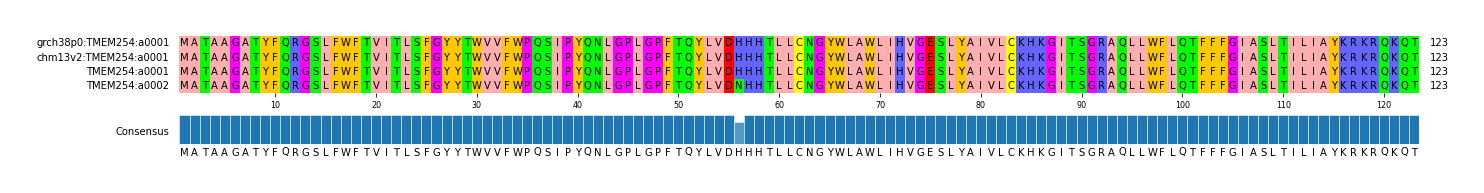 Multiple Alignments (by translate haplotype similarity)