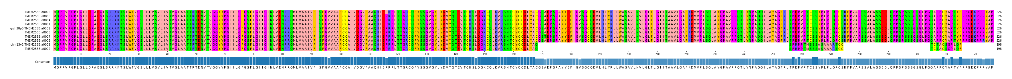 Multiple Alignments (by translate haplotype similarity)