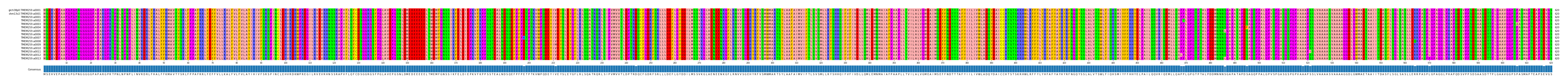 Multiple Alignments (by translate haplotype frequency)