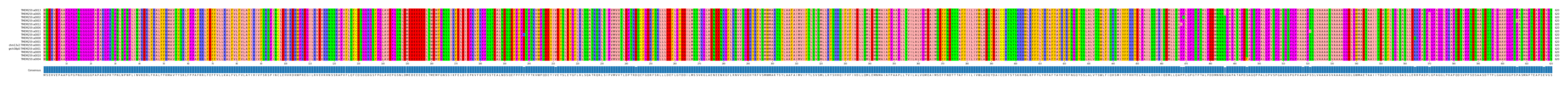 Multiple Alignments (by translate haplotype similarity)