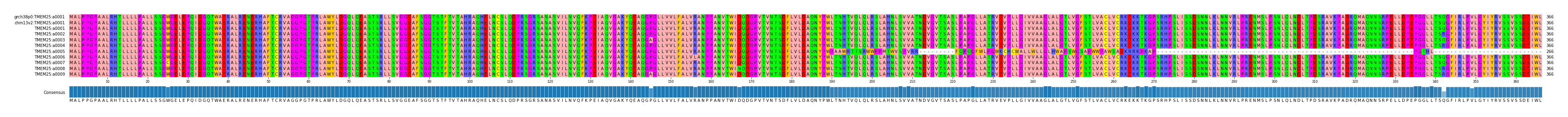 Multiple Alignments (by translate haplotype frequency)