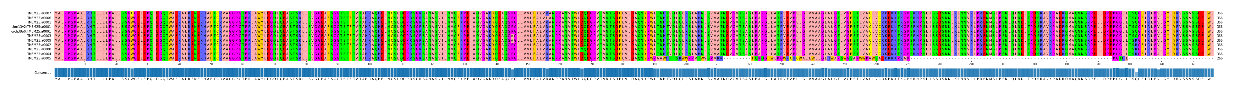 Multiple Alignments (by translate haplotype similarity)