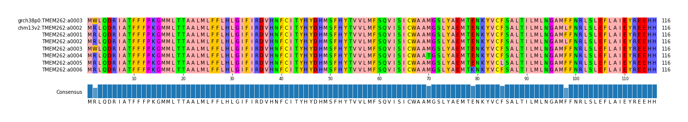 Multiple Alignments (by translate haplotype frequency)
