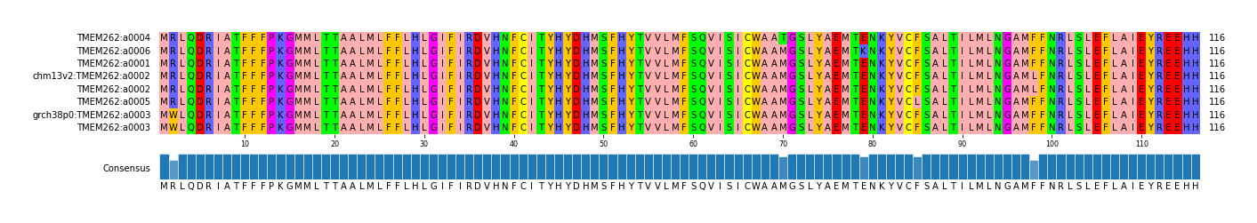 Multiple Alignments (by translate haplotype similarity)
