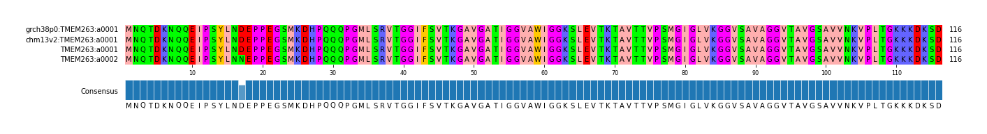 Multiple Alignments (by translate haplotype similarity)