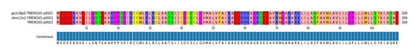 Multiple Alignments (by translate haplotype similarity)