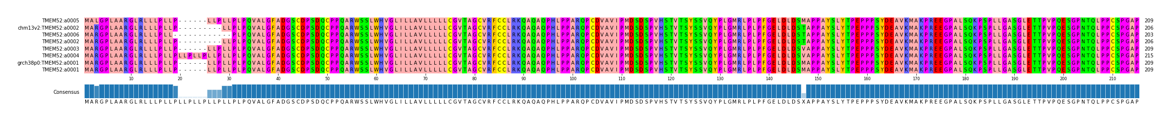 Multiple Alignments (by translate haplotype similarity)