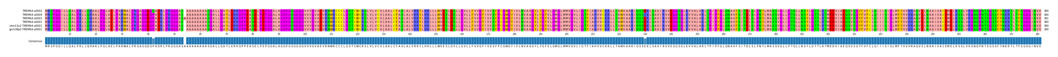 Multiple Alignments (by translate haplotype similarity)
