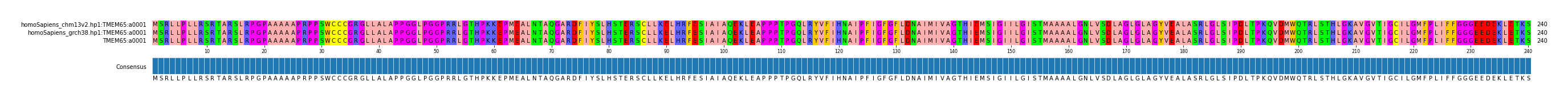 Multiple Alignments (by translate haplotype similarity)