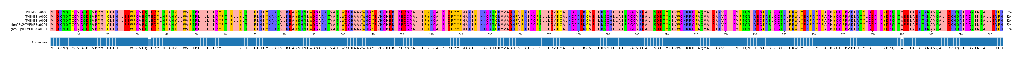 Multiple Alignments (by translate haplotype similarity)