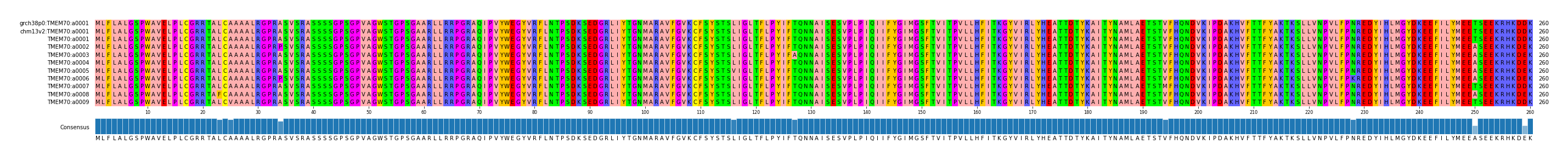 Multiple Alignments (by translate haplotype frequency)