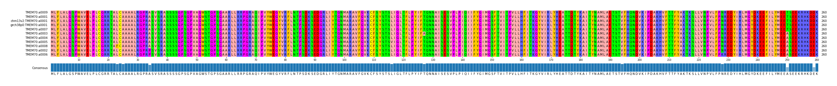 Multiple Alignments (by translate haplotype similarity)