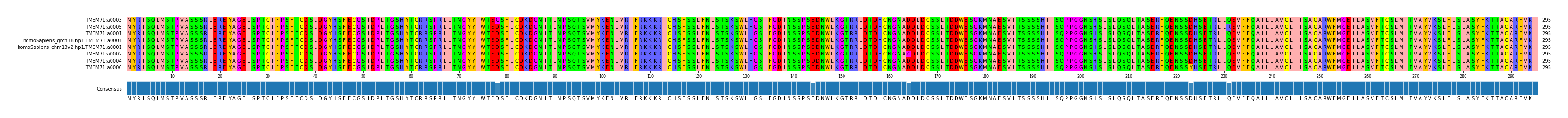 Multiple Alignments (by translate haplotype similarity)