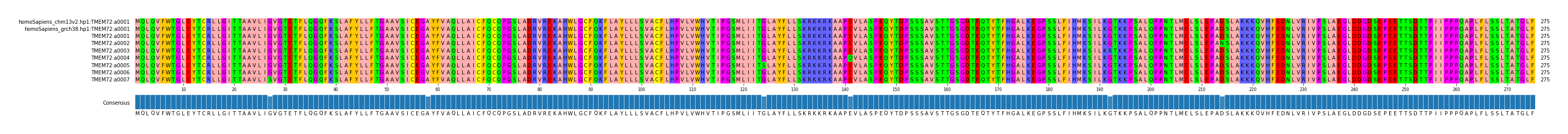 Multiple Alignments (by translate haplotype frequency)