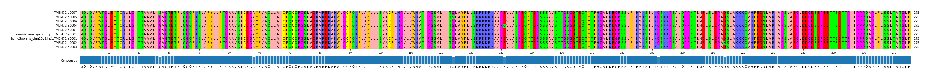 Multiple Alignments (by translate haplotype similarity)
