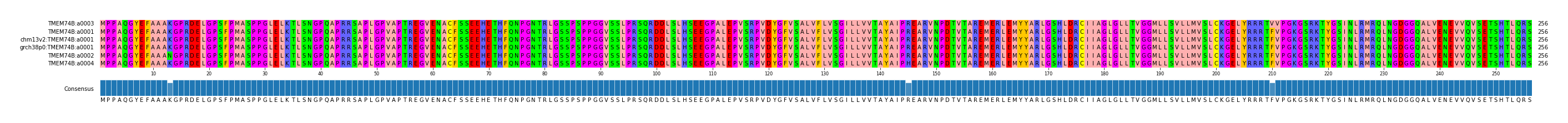 Multiple Alignments (by translate haplotype similarity)