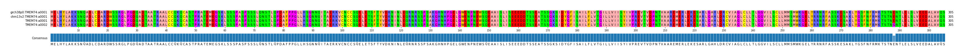 Multiple Alignments (by translate haplotype similarity)