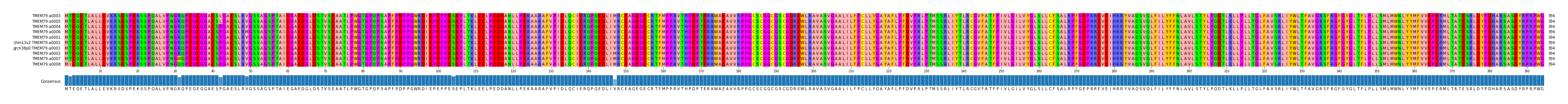 Multiple Alignments (by translate haplotype similarity)