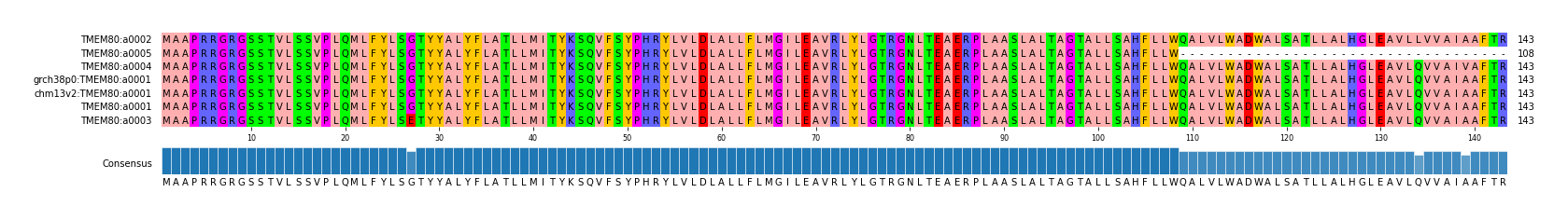 Multiple Alignments (by translate haplotype similarity)