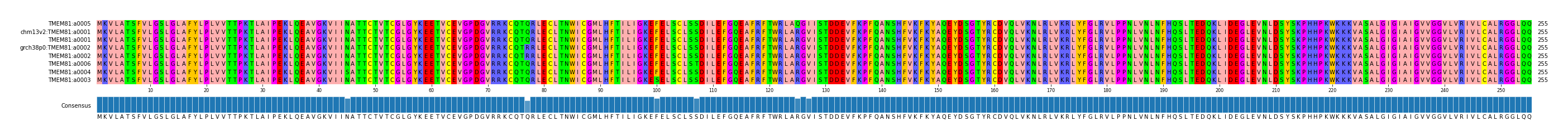 Multiple Alignments (by translate haplotype similarity)