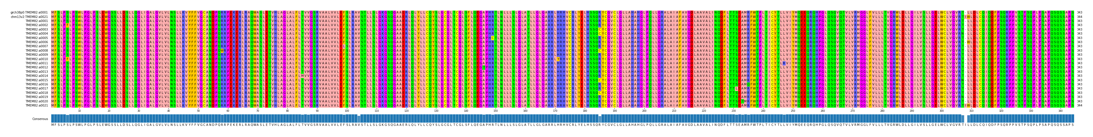 Multiple Alignments (by translate haplotype frequency)