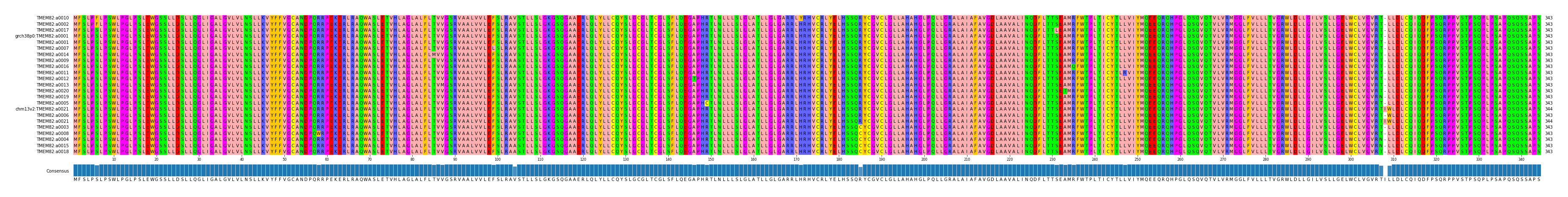 Multiple Alignments (by translate haplotype similarity)