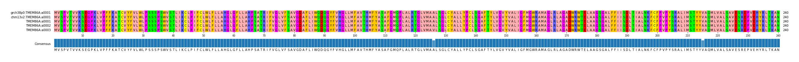 Multiple Alignments (by translate haplotype frequency)