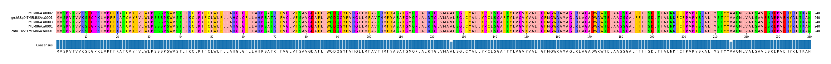 Multiple Alignments (by translate haplotype similarity)