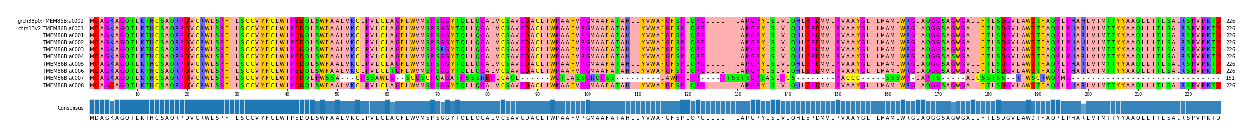 Multiple Alignments (by translate haplotype frequency)