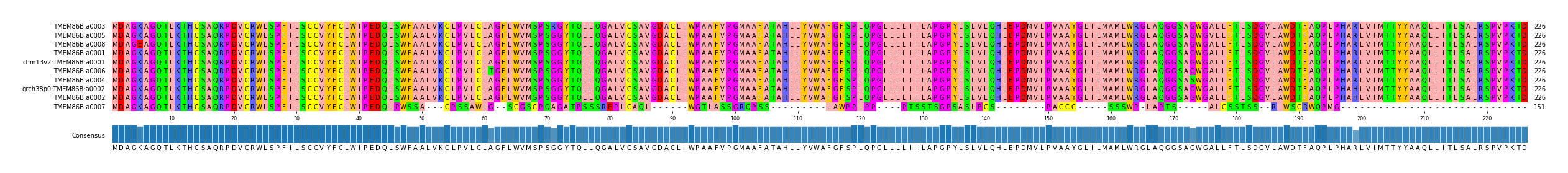 Multiple Alignments (by translate haplotype similarity)