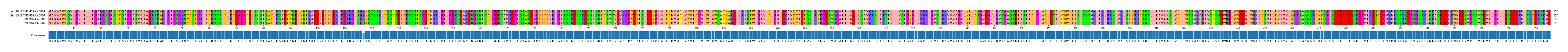 Multiple Alignments (by translate haplotype similarity)