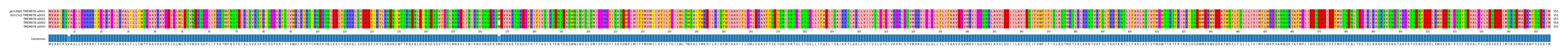 Multiple Alignments (by translate haplotype frequency)
