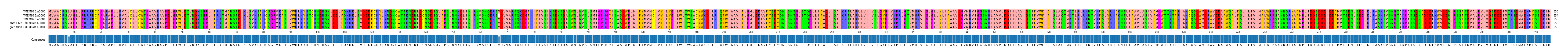 Multiple Alignments (by translate haplotype similarity)