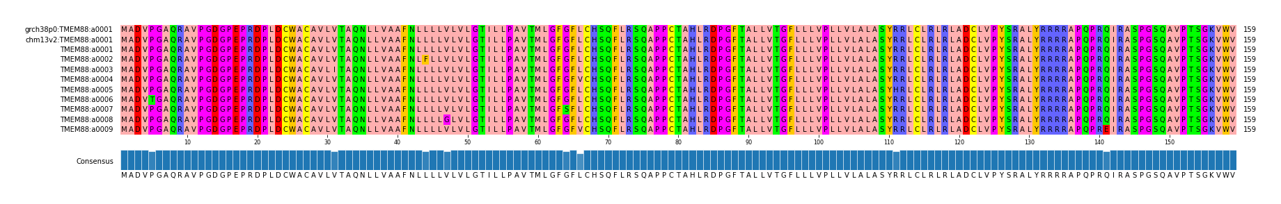Multiple Alignments (by translate haplotype frequency)