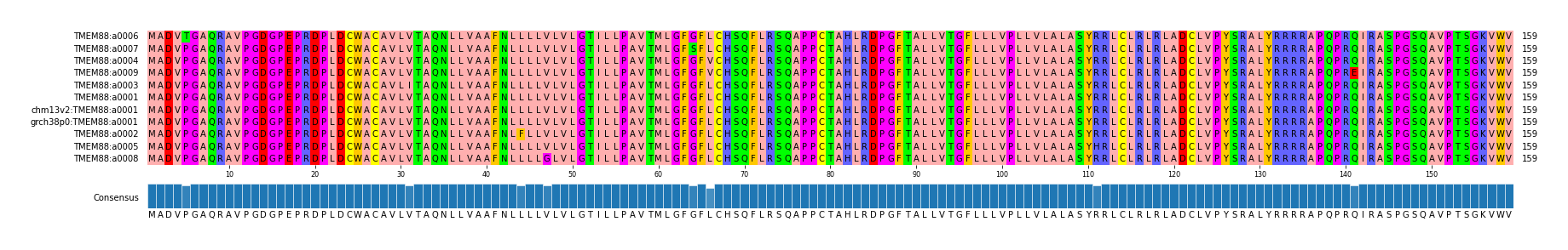 Multiple Alignments (by translate haplotype similarity)
