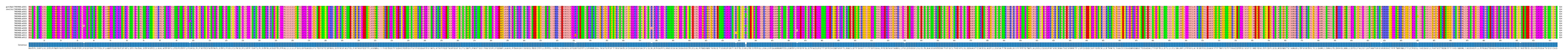 Multiple Alignments (by translate haplotype frequency)