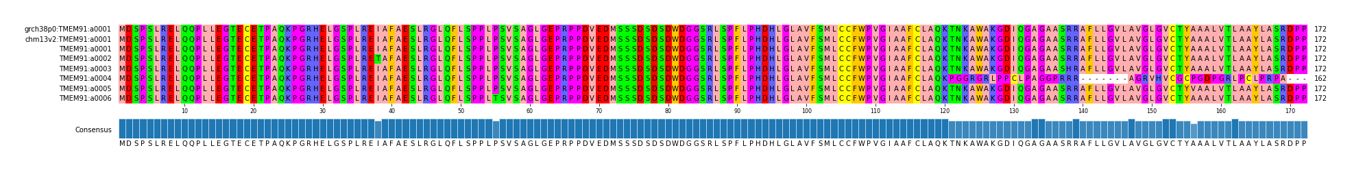 Multiple Alignments (by translate haplotype frequency)