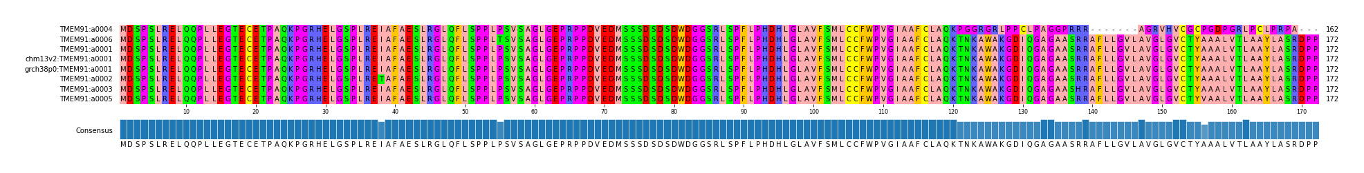 Multiple Alignments (by translate haplotype similarity)