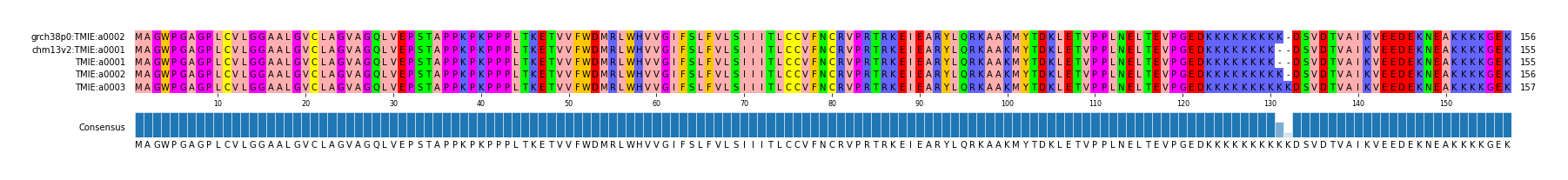 Multiple Alignments (by translate haplotype similarity)