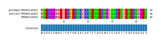 Multiple Alignments (by translate haplotype similarity)