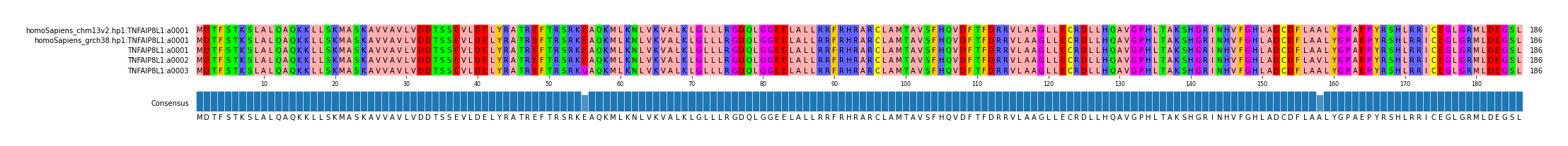 Multiple Alignments (by translate haplotype frequency)