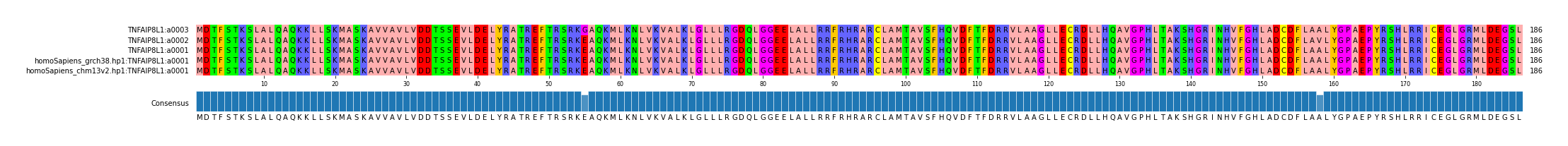 Multiple Alignments (by translate haplotype similarity)