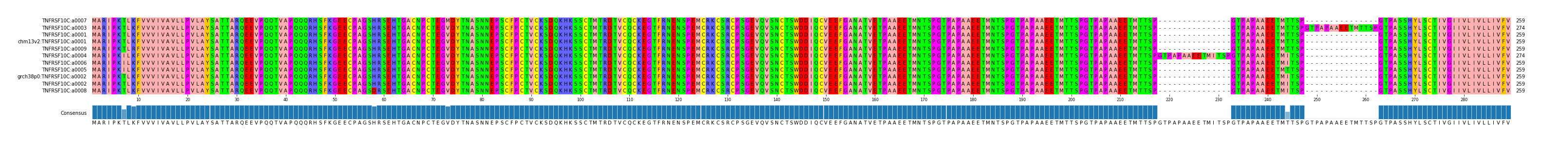 Multiple Alignments (by translate haplotype similarity)