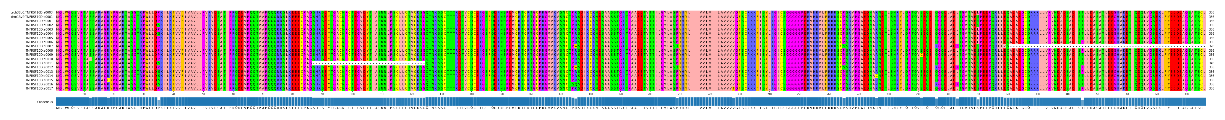 Multiple Alignments (by translate haplotype frequency)