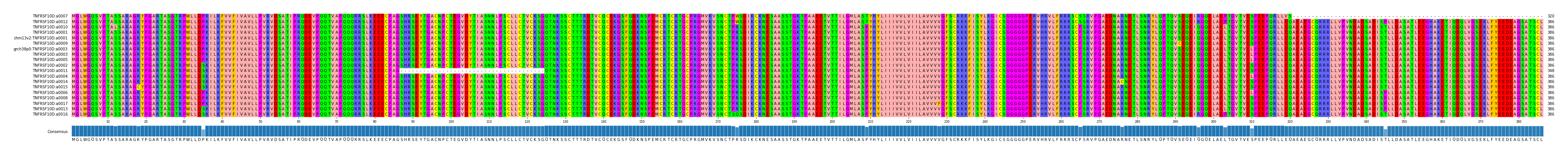 Multiple Alignments (by translate haplotype similarity)