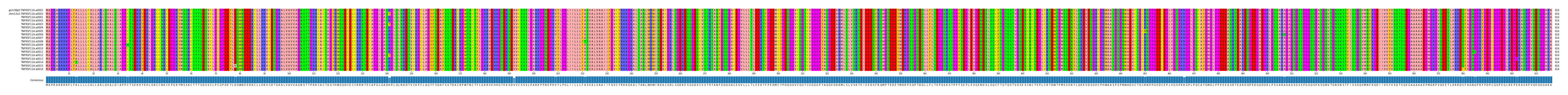Multiple Alignments (by translate haplotype frequency)