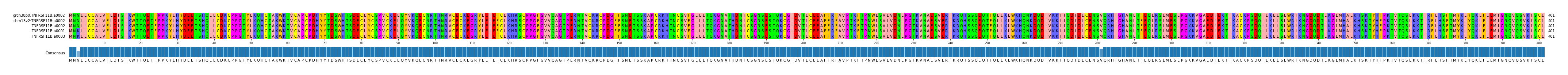 Multiple Alignments (by translate haplotype similarity)