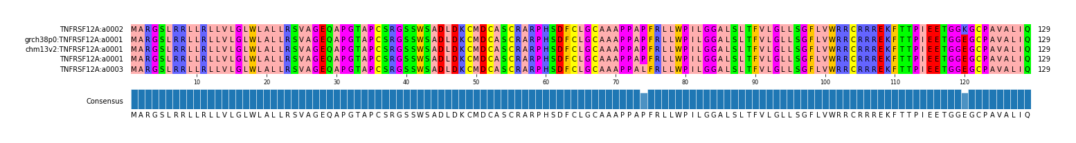 Multiple Alignments (by translate haplotype similarity)