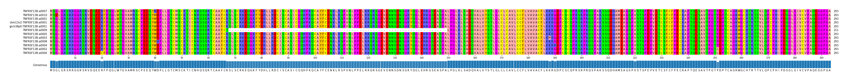 Multiple Alignments (by translate haplotype similarity)