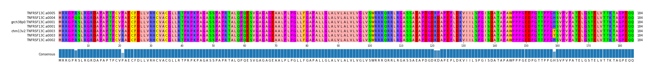Multiple Alignments (by translate haplotype similarity)
